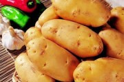 土豆能否生吃？——关于生食土豆的疑问解答