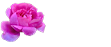 花伴四季